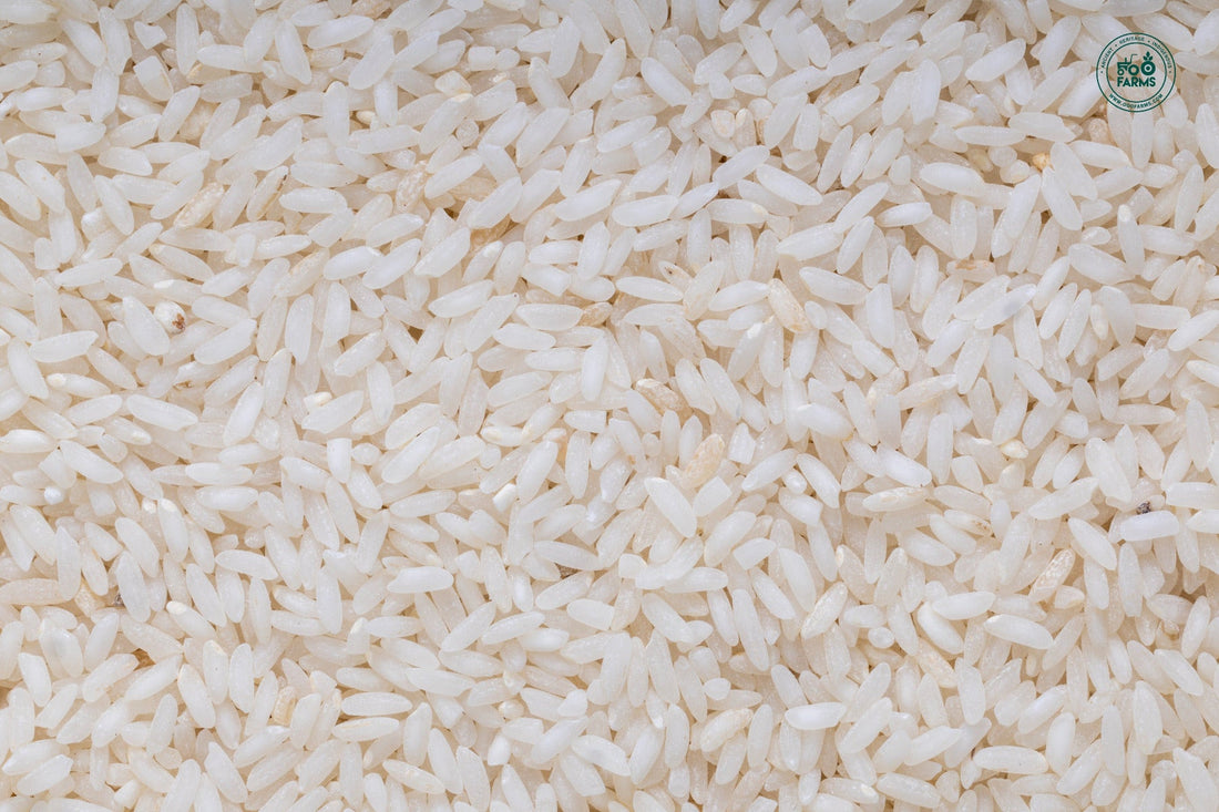 Siddhasanna Rice (Semi Polished) OOO Farms Siddhasanna Rice (Semipolished)