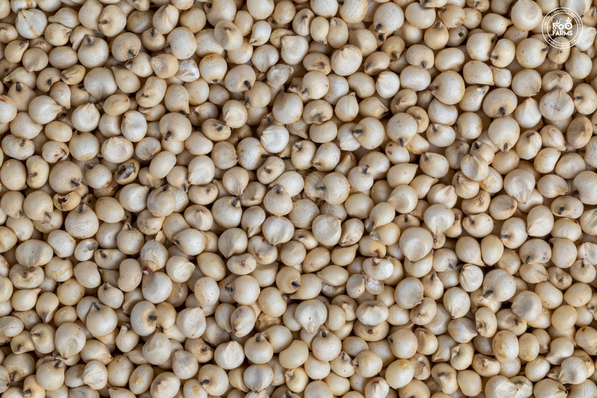 OOO Farms Sorghum Millet 