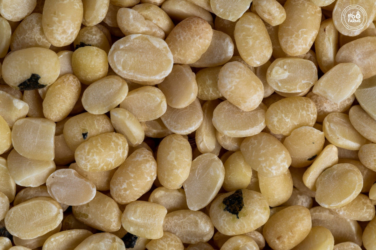 OOO Farms Unpolished Urad Dal 