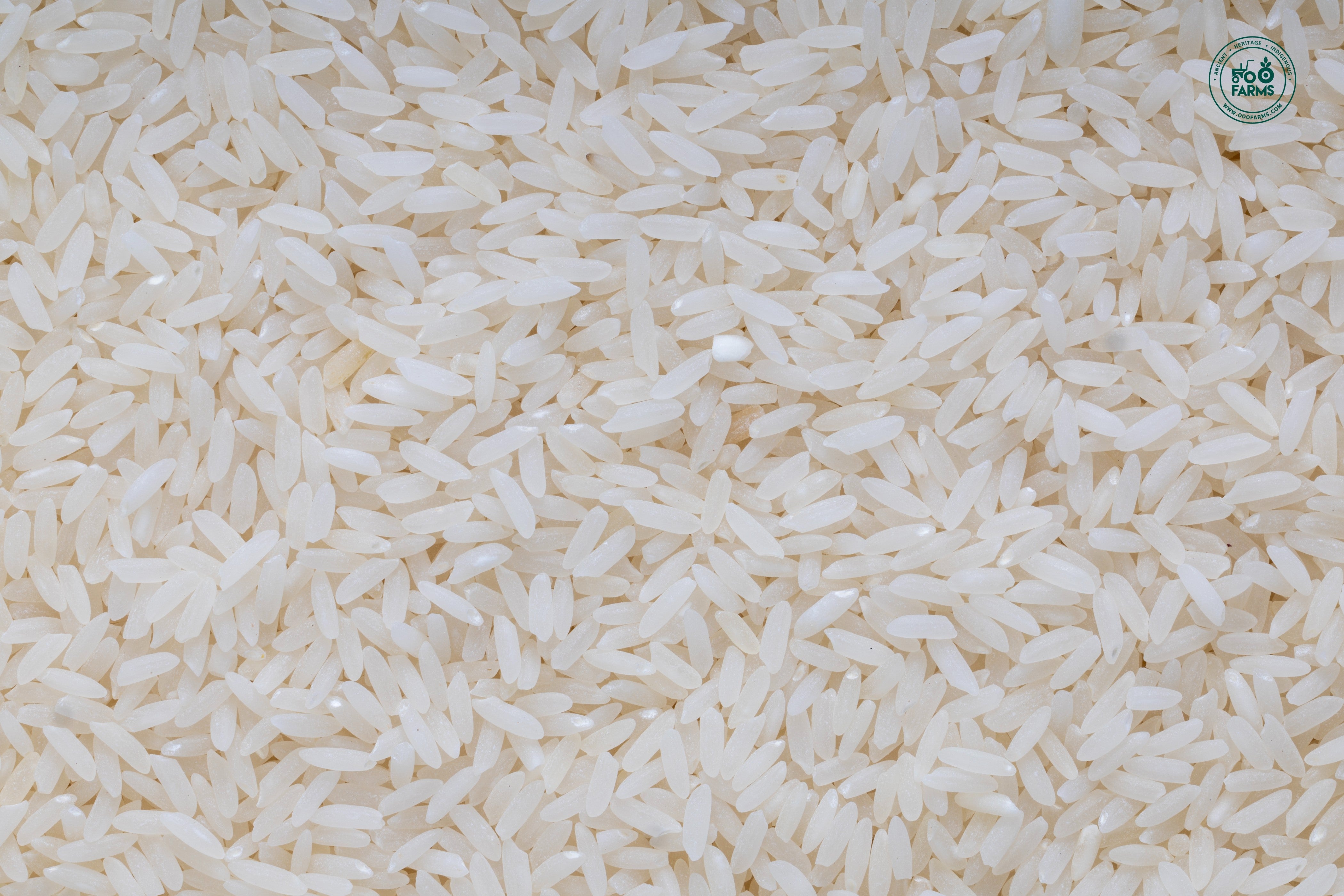 Mini Wada Wada Kolam Rice (Semi Polished) – OOO Farms