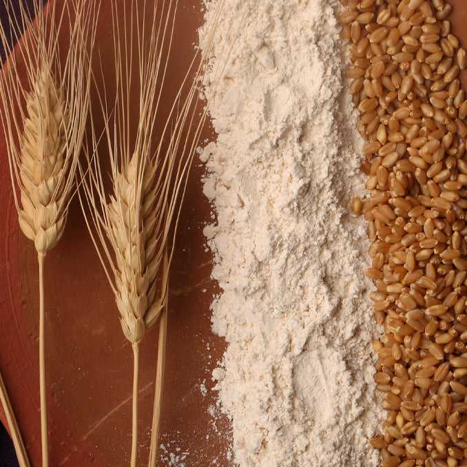 OOO Farms Kalyan Sona Wheat Flour