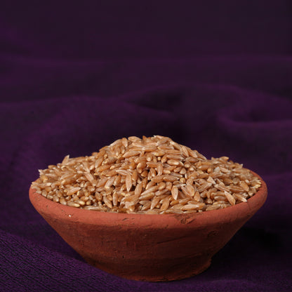 Whole Wheat Khapli / Emmer Wheat / खपली